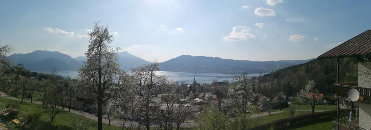 Attersee-Chalet Angermann Familie Spalt ชไตน์บาค อัม อัทเทอร์เซ ภายนอก รูปภาพ