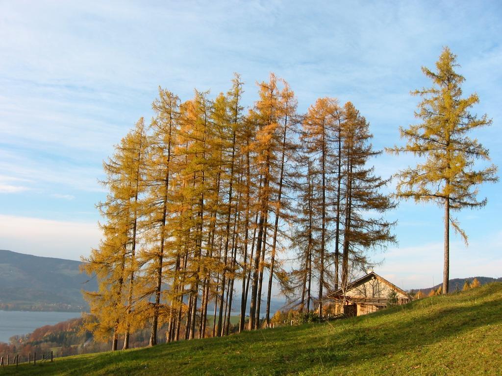 Attersee-Chalet Angermann Familie Spalt ชไตน์บาค อัม อัทเทอร์เซ ภายนอก รูปภาพ